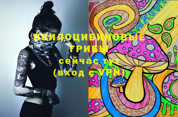стафф Алексин