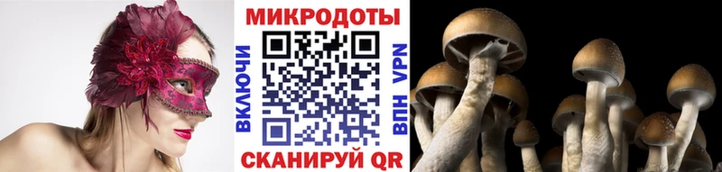Галлюциногенные грибы MAGIC MUSHROOMS  закладки  Гдов 