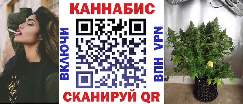 Каннабис сатива  MEGA как войти  Гдов 